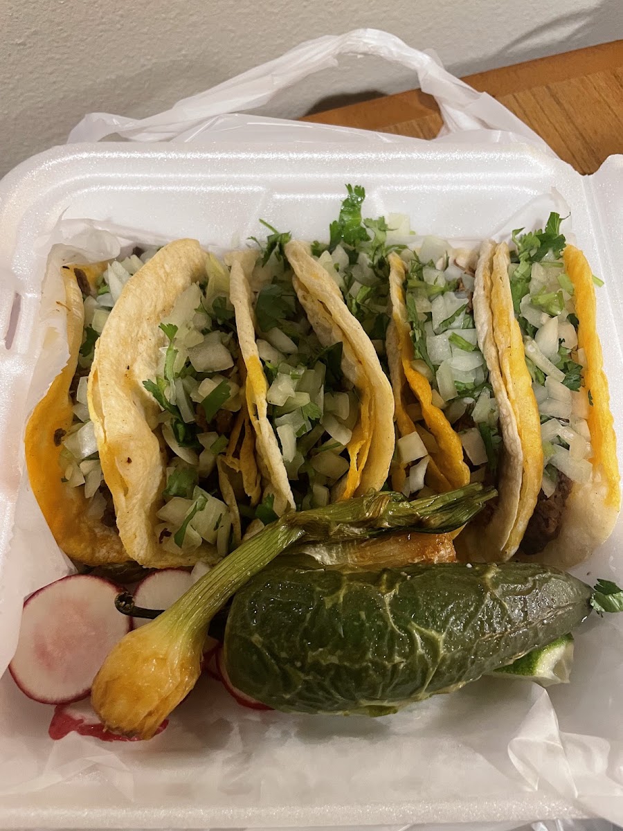taco-amigo/36059-albums-3.jpg