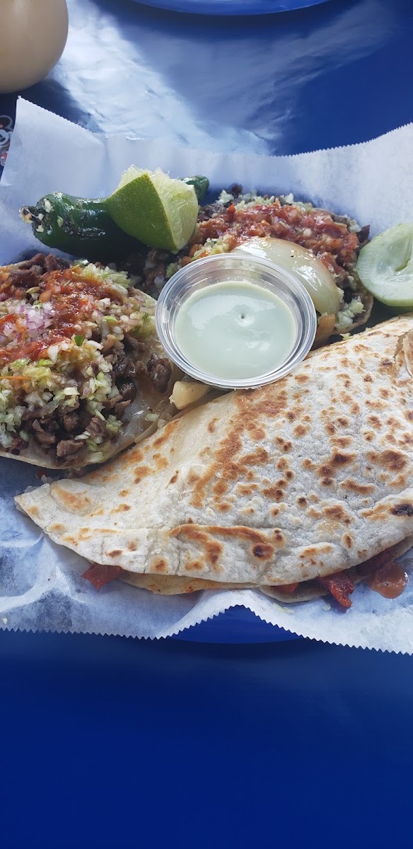 tacos-el-pillo/35947-albums-6.jpg