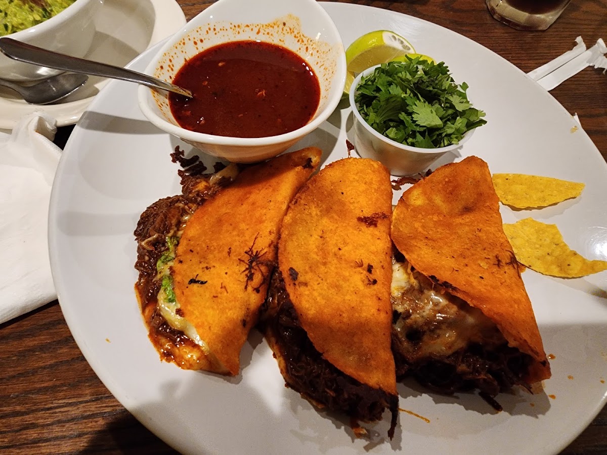 takiza-mexican-cuisine/25465-albums-6.jpg
