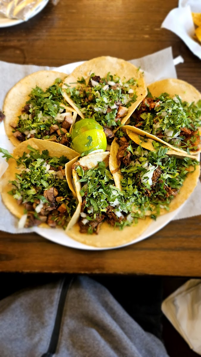 takiza-mexican-cuisine/25465-albums-7.jpg