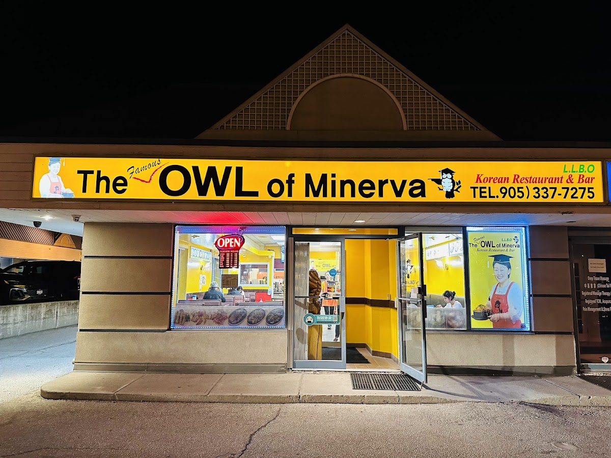 The Famous Owl Of Minerva