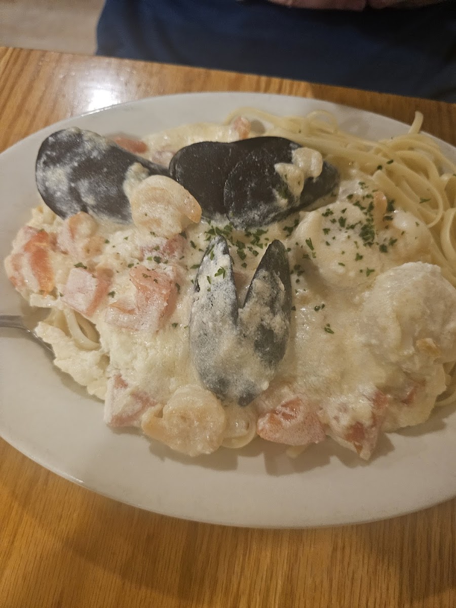 the-great-impasta/12381-albums-2.jpg