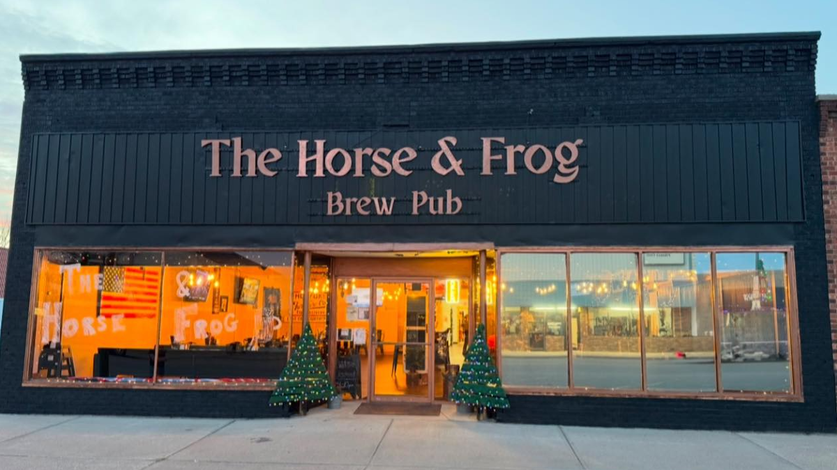 The Horse And Frog