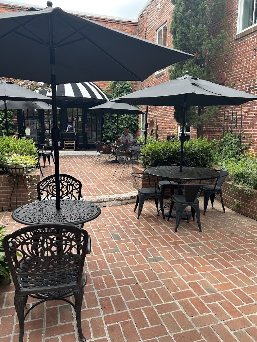 The Ivy