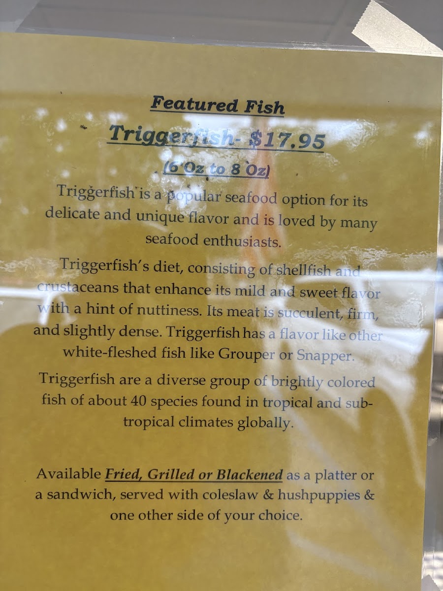 the-sea-shack/12694-menus-6.jpg