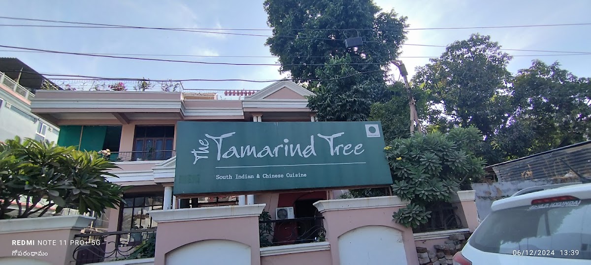 The Tamarind Tree