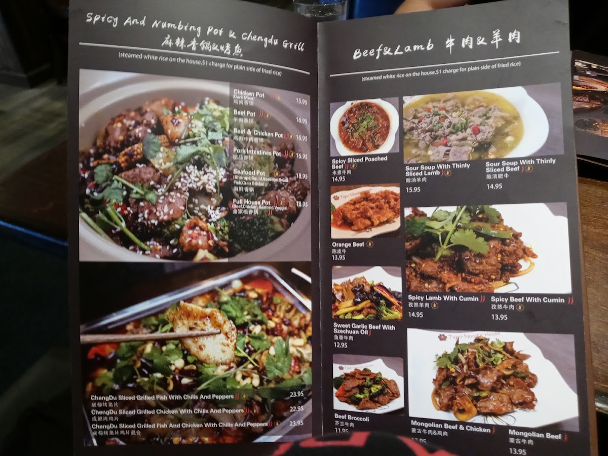 tiger-noodle-house/4868-menus-2.jpg