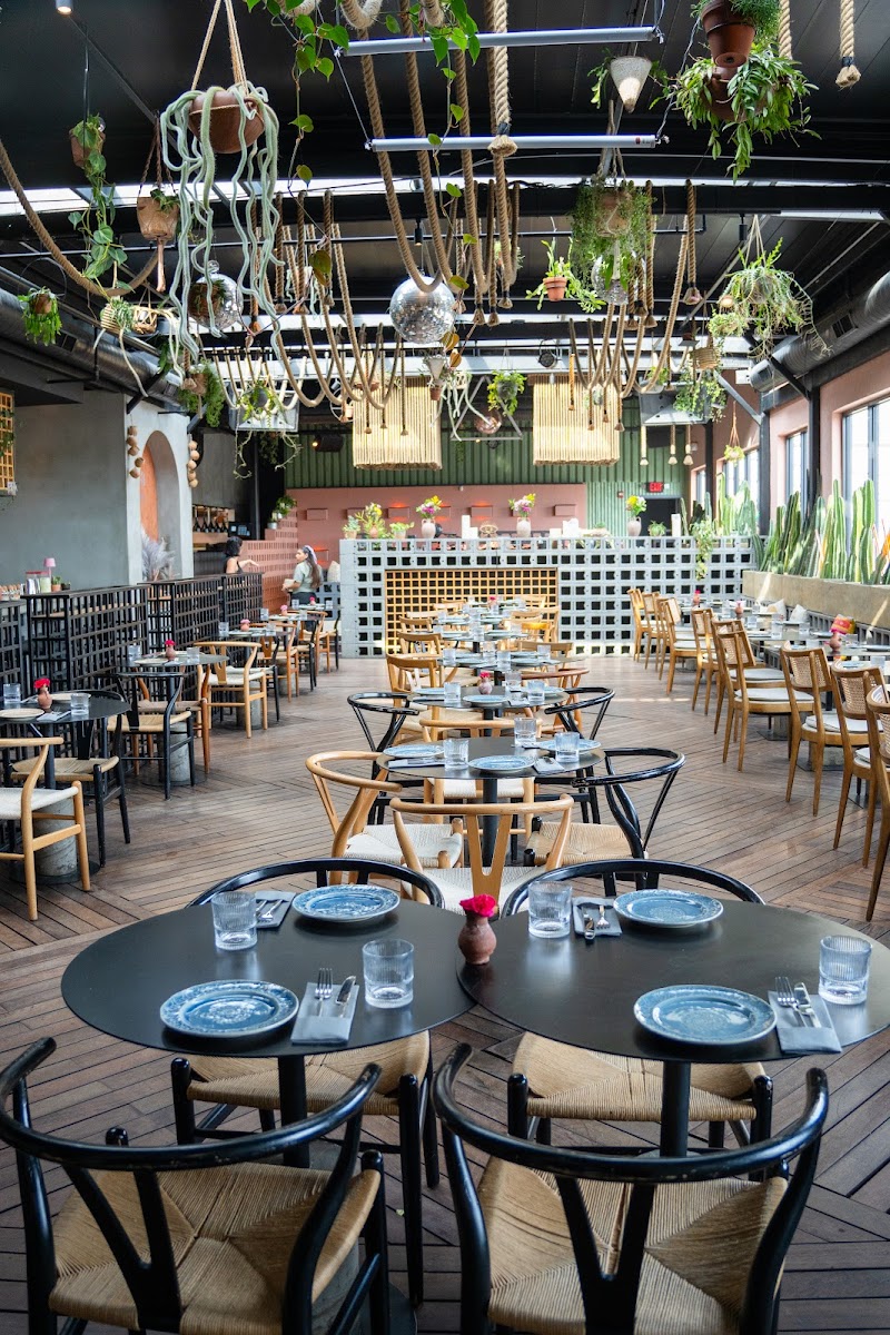 Vera Cocina & بار