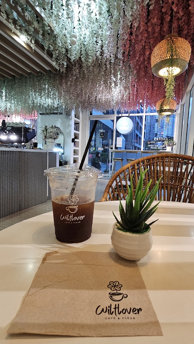 wiltlover-cafe/22029-albums-9.jpg