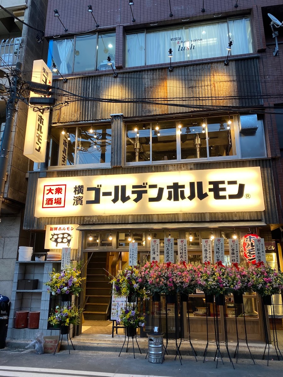 Yokohama Golden Hormone